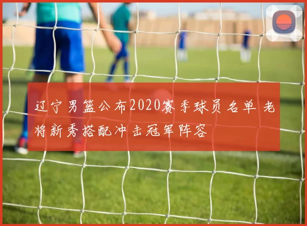 辽宁男篮公布2020赛季球员名单 老将新秀搭配冲击冠军阵容