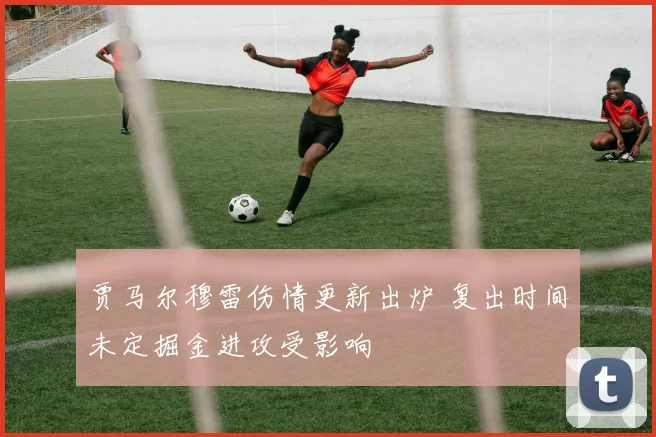 贾马尔穆雷伤情更新出炉 复出时间未定掘金进攻受影响