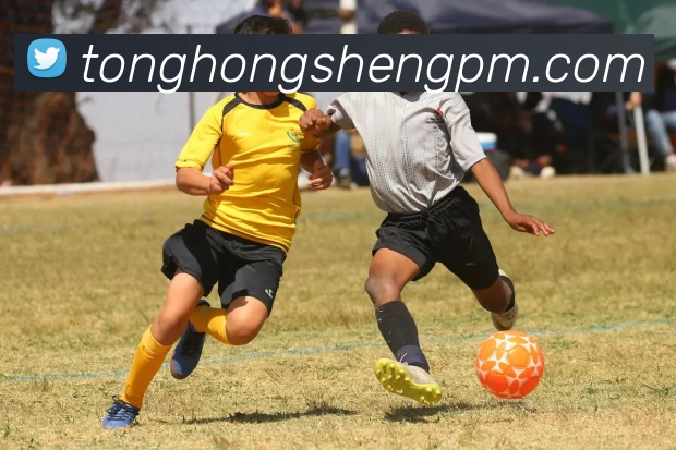 开云·官方端网页版登录入口 - 开云(中国)品牌故事