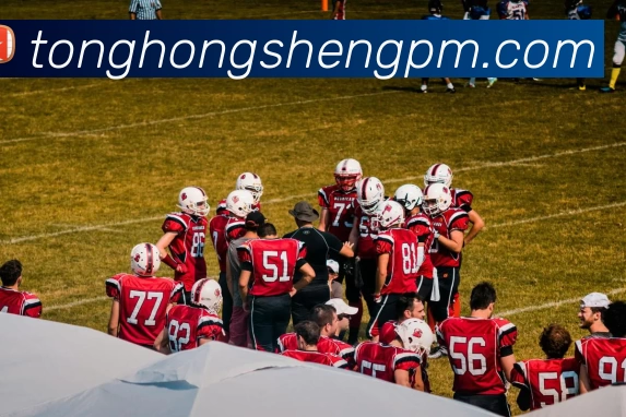 开云·官方端网页版登录入口 - 开云(中国)服务体系